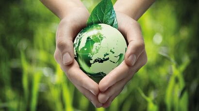 MSc Sustainability and Environmental Management