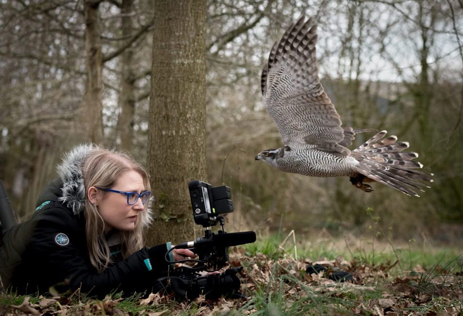 Female student filming a bird at close range