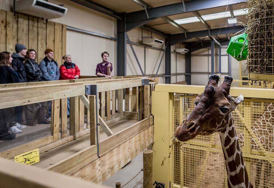 Students in a giraffe enclosure.