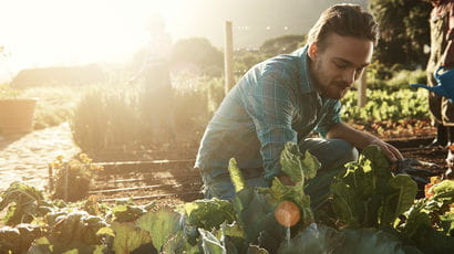 Man volunteers in a community garden