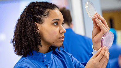 Research and partnerships