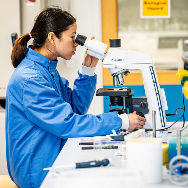 Biomedical student looking into a microscope in a lab.