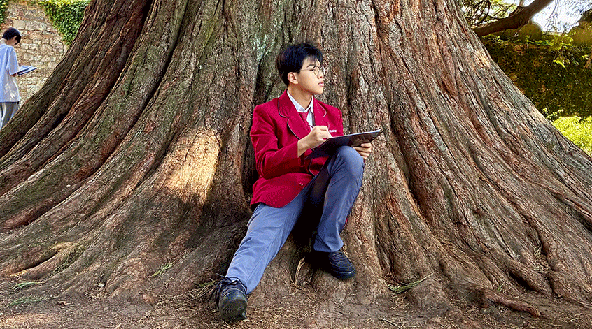 A Summer School student perched at the base of a huge yew tree.