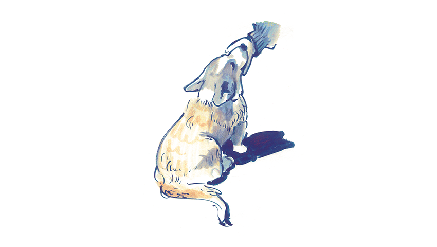 Laura Spanner, BA(Hons) Illustration