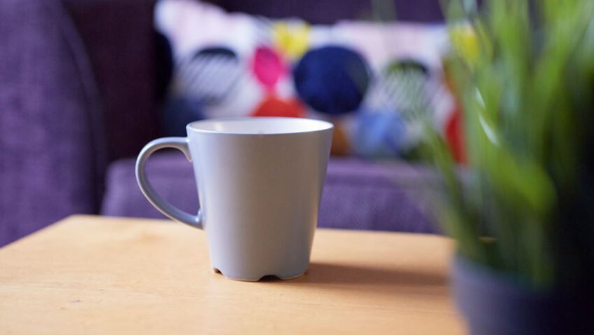 A mug and house plant on a coffee table in a cosy student common room.