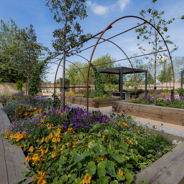 Walled garden at Frenchay Campus filled with raised flower beds.