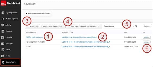 Screenshot showing steps 1 to 6: Blackboard coursework area