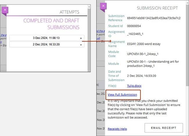 Screenshot showing submission receipt with link to view full submissions highlighted.