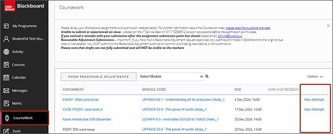 Screenshot highlighting view attempts link.