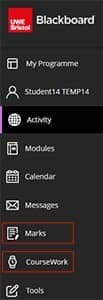 Screenshot showing Blackboard base navigation menu with marks and coursework highlighted.