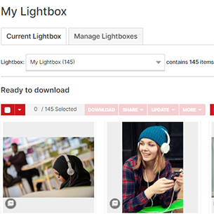 Asset Bank lightbox screenshot.