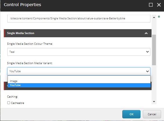 Screenshot of the control properties for the Single Media Content component