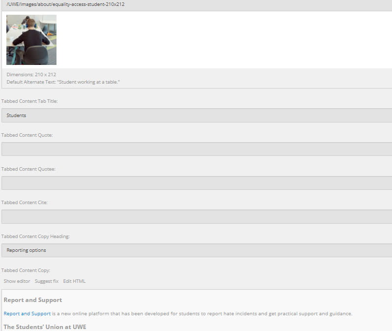 Tabbed Content backend screenshot.