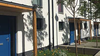 Plants and trees in front of a row of terraced houses.