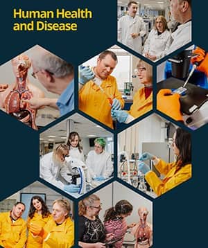 Hexagonal collage of CBR's members of the Human Health research theme.