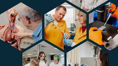 Hexagonal collage of CBR's members of the Human Health research theme.