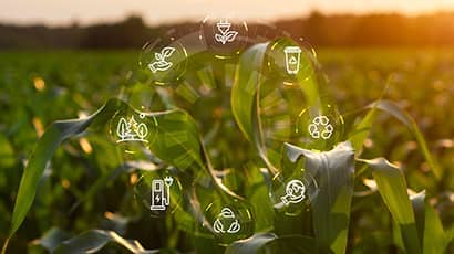 Green crops at sunset with circular eco-friendly icons, including recycling, renewable energy, and sustainable agriculture symbols.
