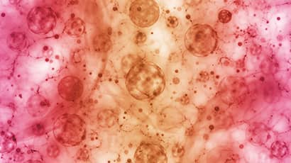 Computer graphic design abstract background of microorganism cells.