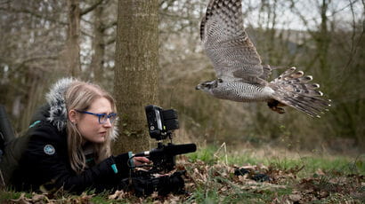 Wildlife Filmmaking postgraduate webinar