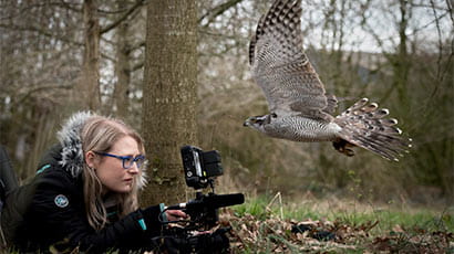 Reel nature film club: how to protest in the land of plenty