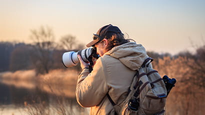 Bristol Museum - Wildlife Photographer of the Year