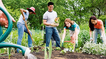 Greenspace conservation volunteering day