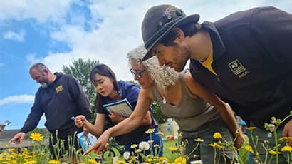 Bristol’s trailblazing community-led climate action to expand across the West of England