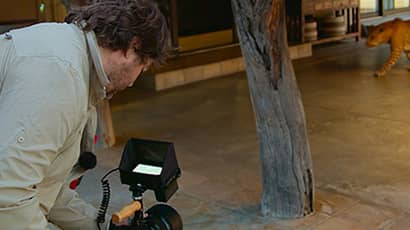 Attenborough film involving UWE Bristol graduate is most watched on Apple TV+