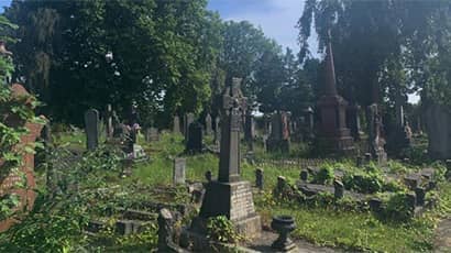 Cemeteries offer same benefits as green spaces to urban dwellers, study finds