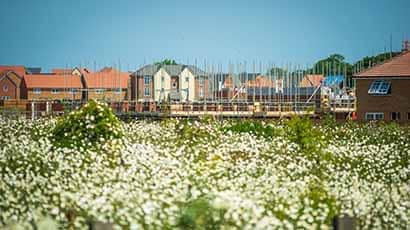 Vast majority of rural councils have no targets for social housing, study finds