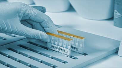 UWE Bristol postgraduate research receives boost as part of £170m funding for biosciences