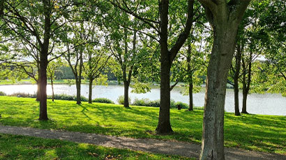 Exposure to green spaces is key to preventing anxiety and depression in young people, study finds