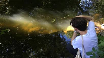 New partnerships to support emerging Bristol photographers