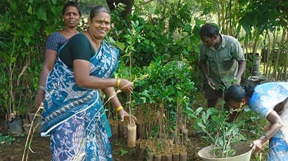 UWE Bristol and its Students' Union to raise funds to plant forest size of Frenchay Campus