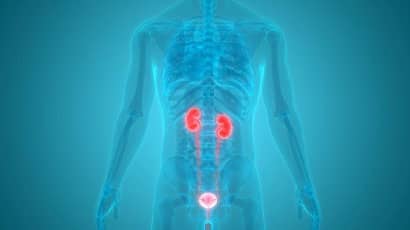 Urinary tract infection device could reduce need for precautionary antibiotics