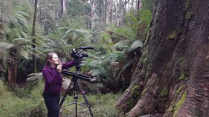 Three UWE Bristol Wildlife Filmmaking graduates win at prestigious film festival