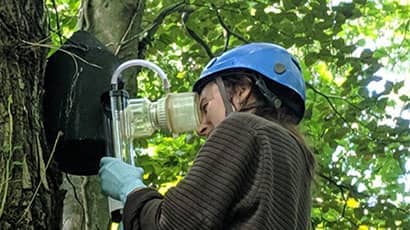 Student's DNA device could improve ways of collecting data for endangered species