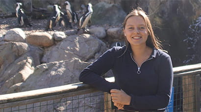 UWE Bristol student pioneers new way to track endangered penguins